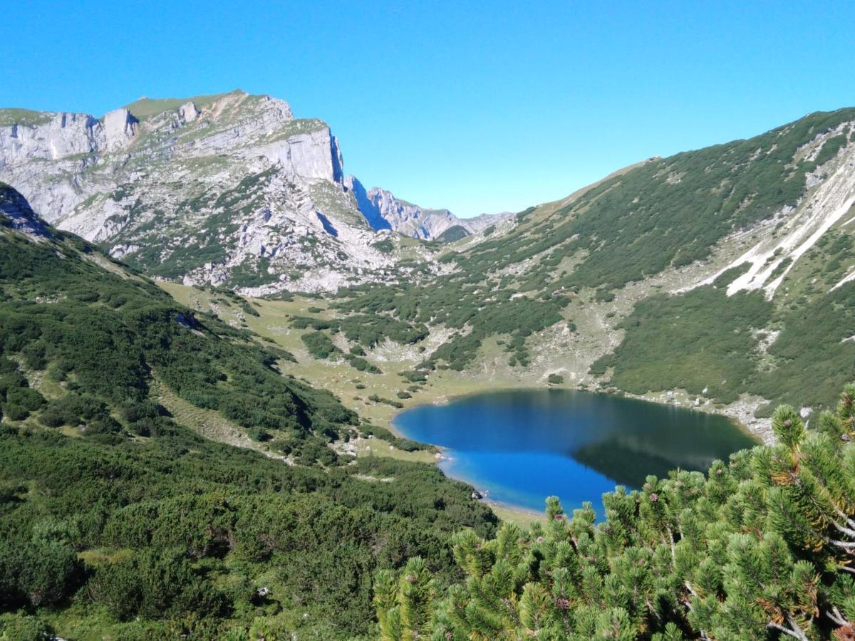 Bichlerhof Daire Radfeld Dış mekan fotoğraf