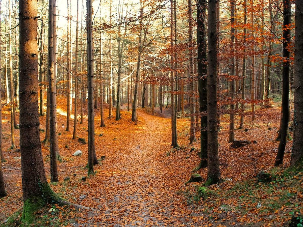 Bichlerhof Daire Radfeld Dış mekan fotoğraf