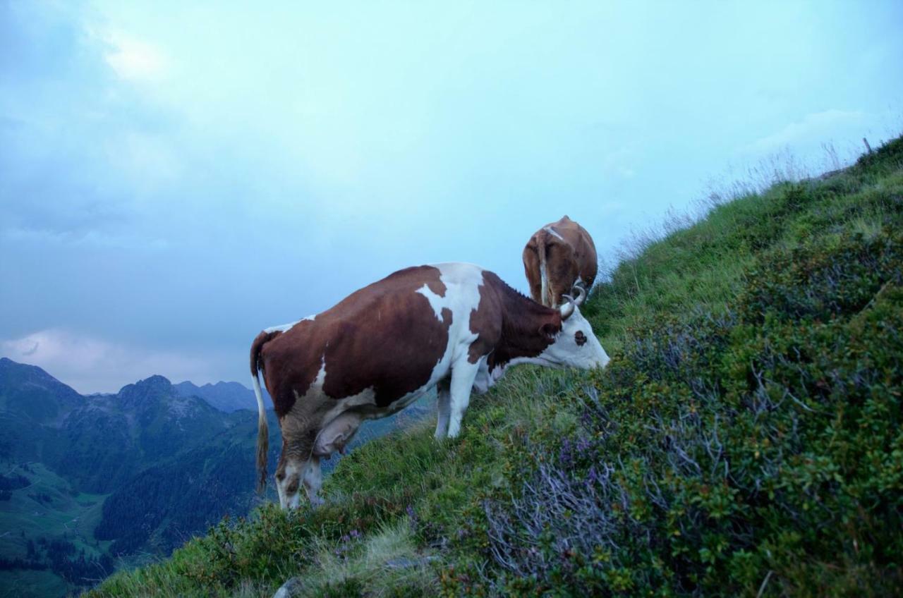 Bichlerhof Daire Radfeld Dış mekan fotoğraf